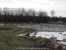 teich und Gallica/Damaszener Beet