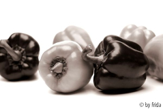 sw-paprika2.jpg