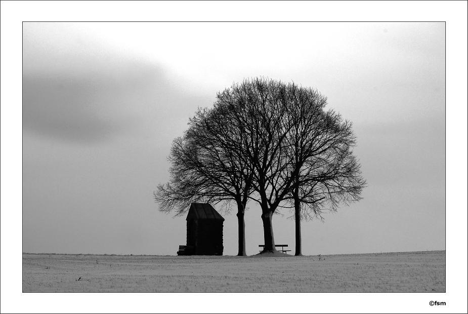 Landtristesse 2 15-02-2009