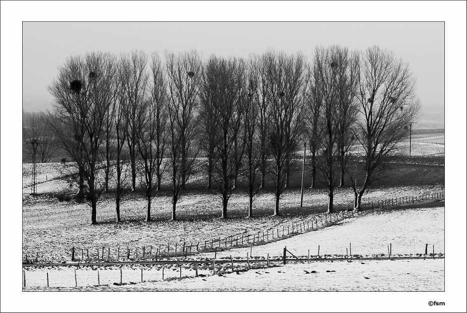 Landtristesse 1 15-02-2009