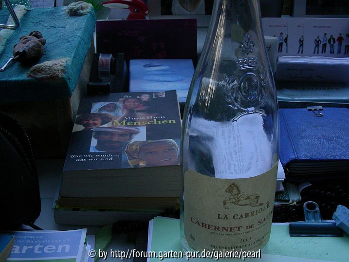 Flasche Rosé