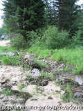 Wildnis 3