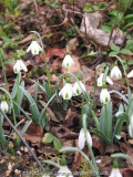 25_privatgarten2_schaetze.jpg
