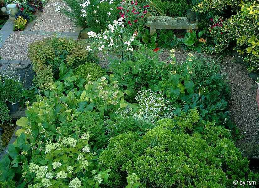 Gartenansichten 2 30-06-2008