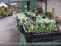2009_1.JPG