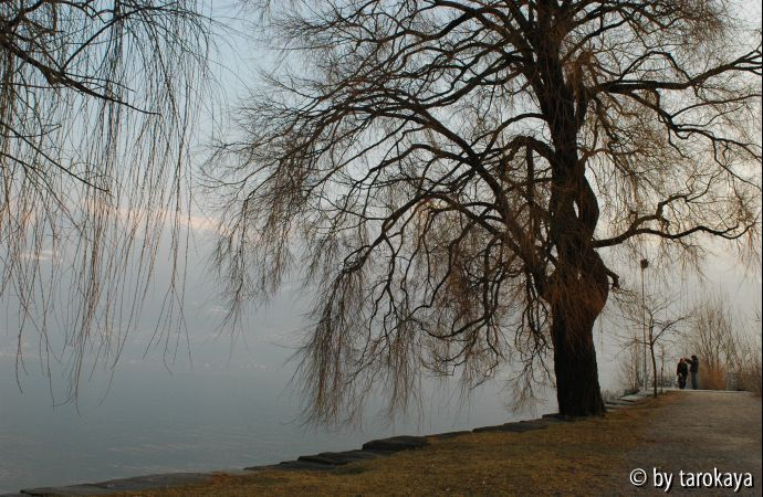 lido 28.2.09