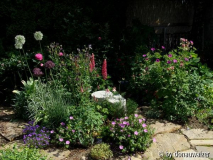 Hauptbeet mit Allium Mount Everest Ende 