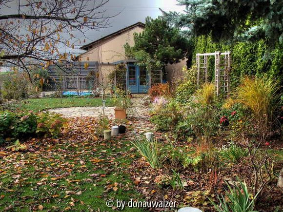 Garten im November