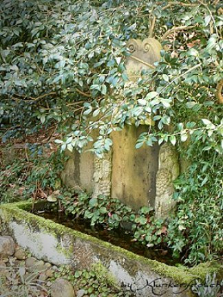 P.Fischer März 2009