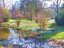 21_03_2009Palmengarten Frankfurt weitere