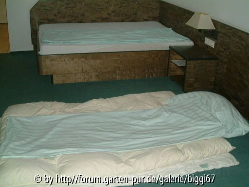 Beas Bett