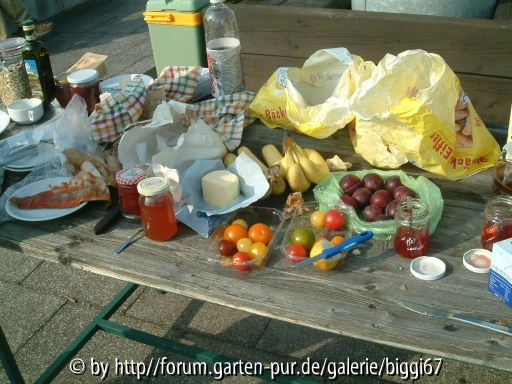 Frühstück Sonntag 2