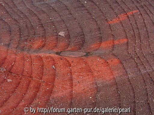 Talstraße Sternkern 2_1