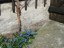 M.Hamburg Stamm