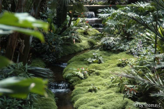 Forumstreffen Frankfurt 2005 - Palmengarten