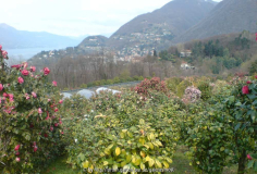 Aussicht FLM.jpg