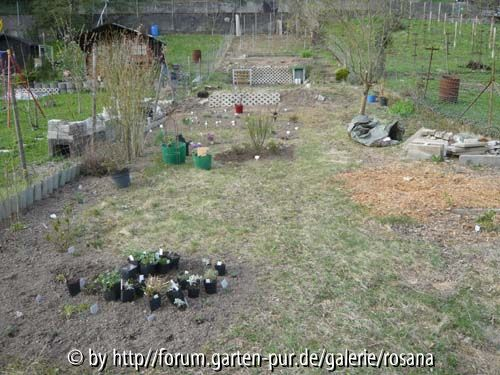 Neue Beete 07.04.09