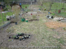 Neue Beete 07.04.09