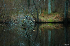 Creuse 1 05-04-2009
