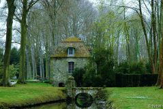 Courances 3 05-04-2009