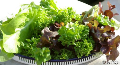 salaternte0418.jpg