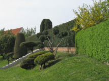 Hecke 2