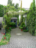 Pergola April2009