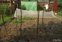 05_02_linkes_beet.jpg