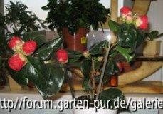 Unbekannt1