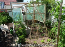 Übersicht überdachte Tomatenbeete