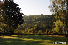 Blick ins Tal