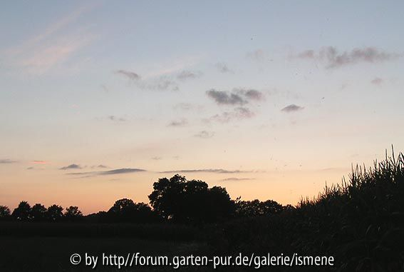 1.8. Uhrzeit 21:23 Richtung: Westen