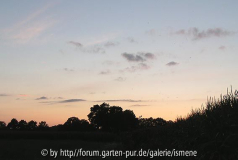 1.8. Uhrzeit 21:23 Richtung: Westen
