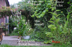 Wildnis am Haus mit Beschriftung