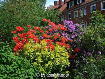 Farbenrausch 2009