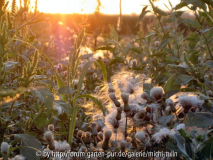 Abend