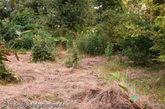 auf der grossen wiese: nach der mahd