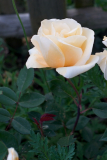 090525Hillingdon 147.jpg