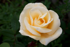 090525Hillingdon 149.jpg