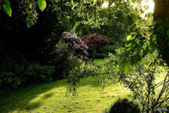 Gartenansichten 4 25-05-2009