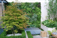 Wandgarten.jpg