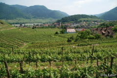 4 2 Spitz vom Roten Tor aus
