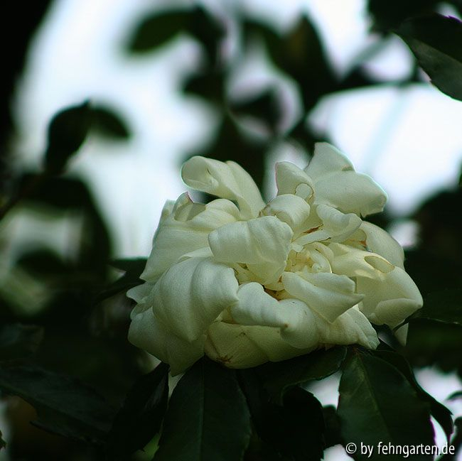 B09 albéric barbier