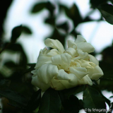 B09 albéric barbier