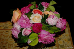 Rosenstrauss 1 06-06-2009