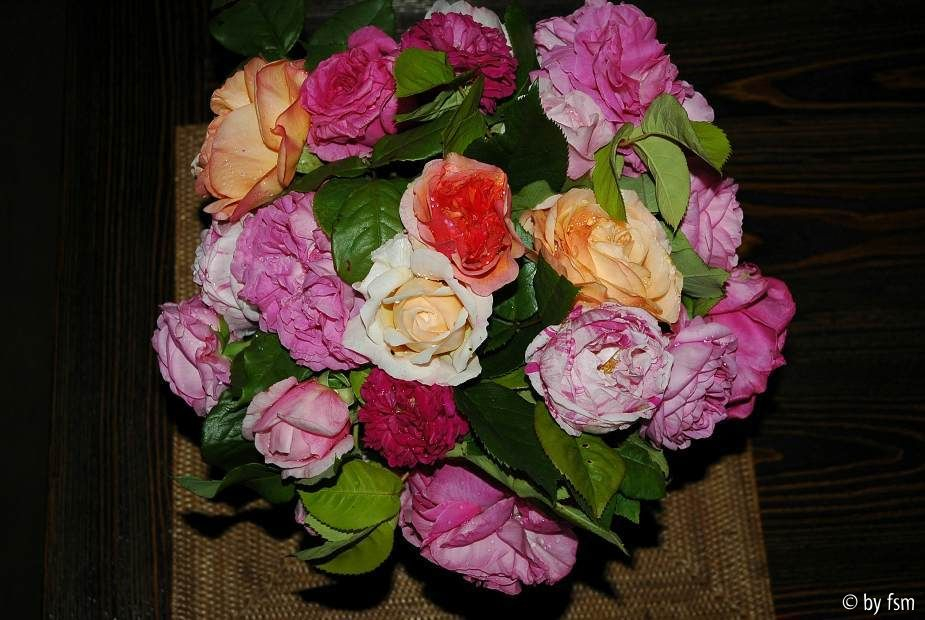 Rosenstrauss 2 06-06-2009