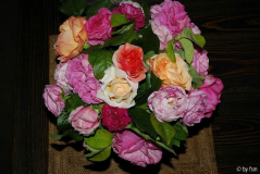 Rosenstrauss 2 06-06-2009