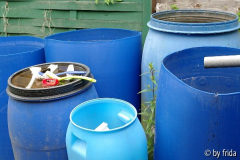 wasserstelle_10_06_09.jpg