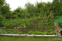 wulfbeet_10_06_09.jpg