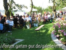 seitenstetten__essen.JPG